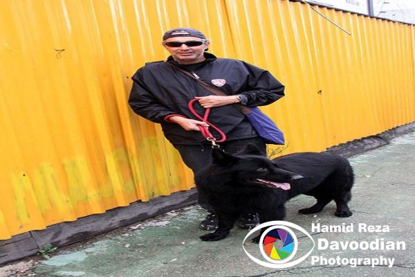 Dog & man