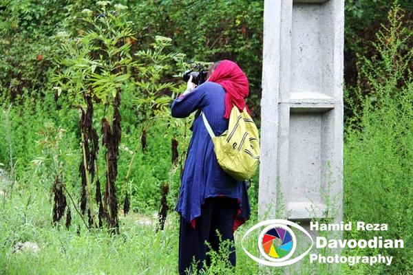 Woman Photographer 