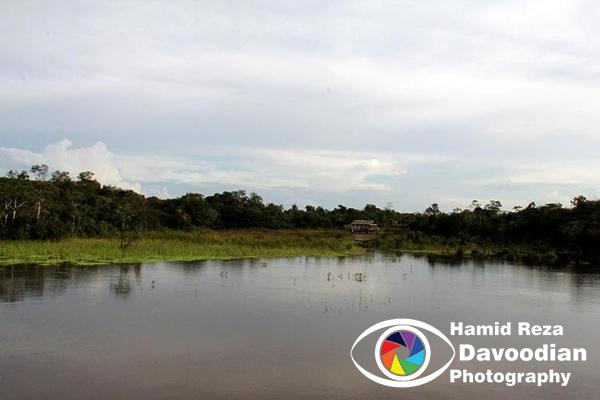 Amazon River 