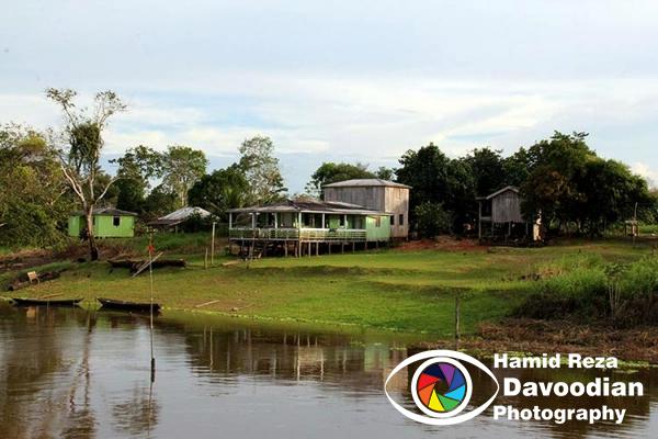 Amazon River 