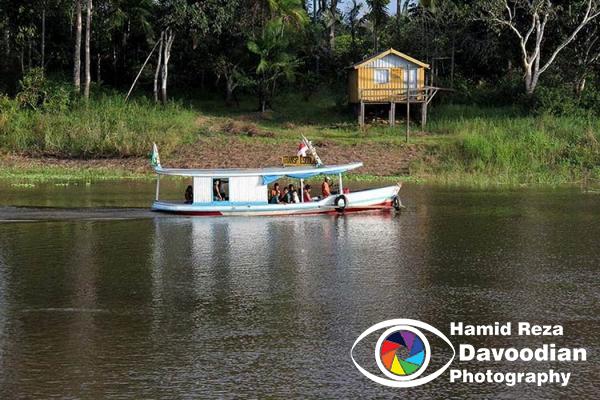 Amazon River 