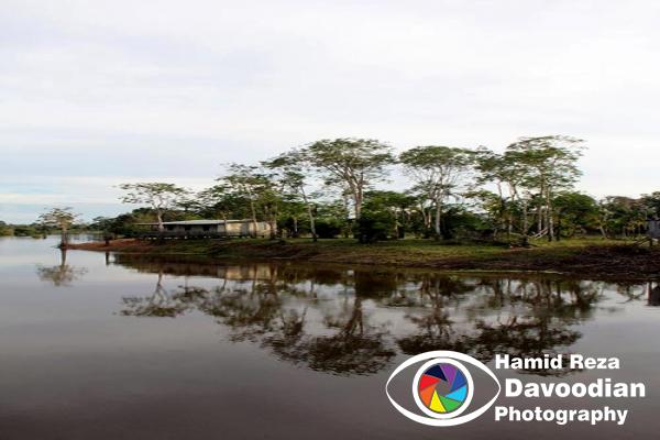 Amazon River 