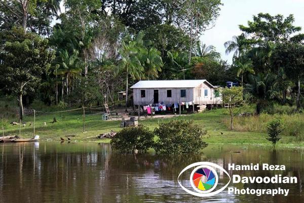Amazon River 