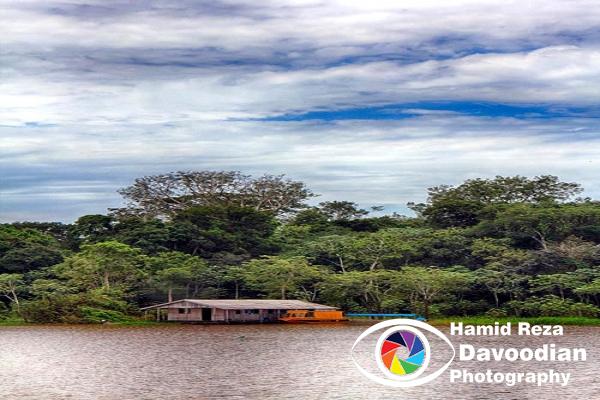 Amazon River