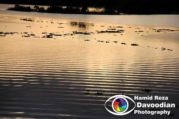 Amazon River 
