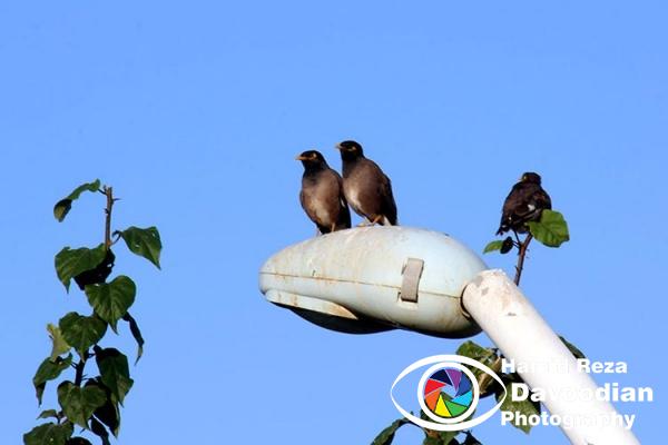 IMG_0931_WH.jpg