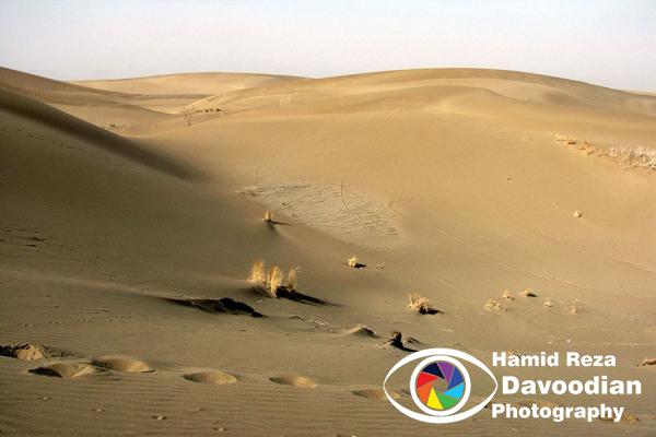 Varzaneh Desert, Isfahan, Iran