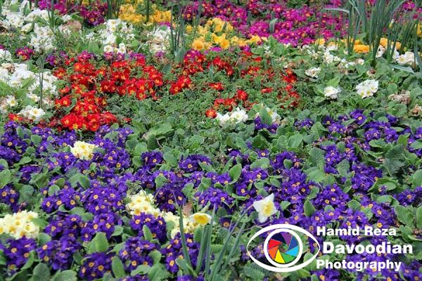 IMG_3049_WH.jpg