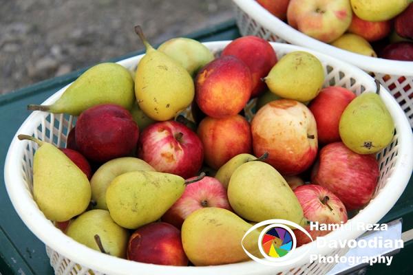 Pears & Peaches 