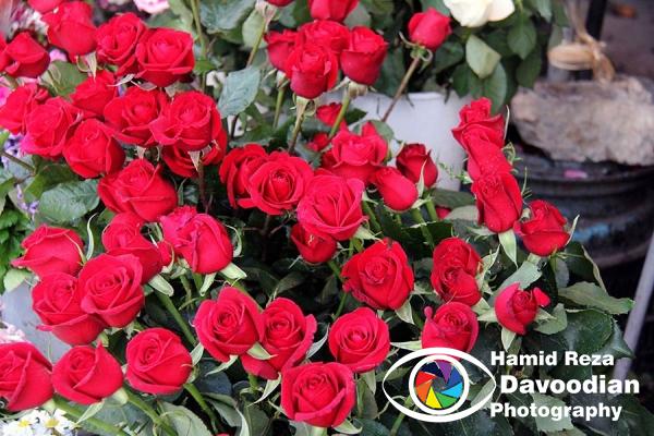 Roses Store in Taksim Square