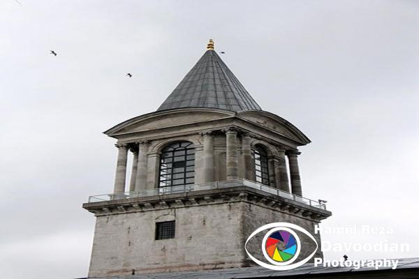 IMG_3104_WH.jpg