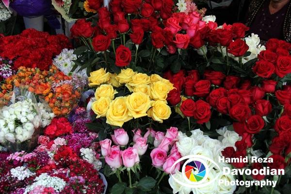 Roses Store in Taksim Square