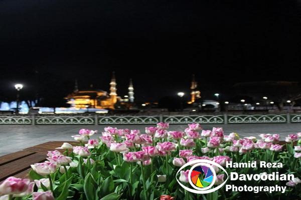 Sultan Ahmed Mosque