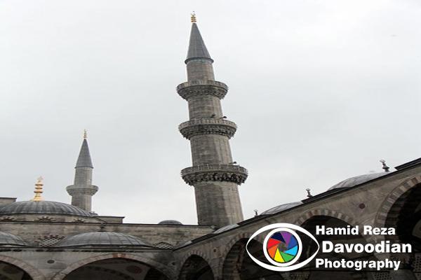 IMG_3084_WH.jpg