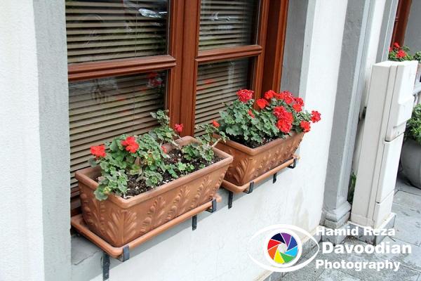 IMG_3027_WH.jpg