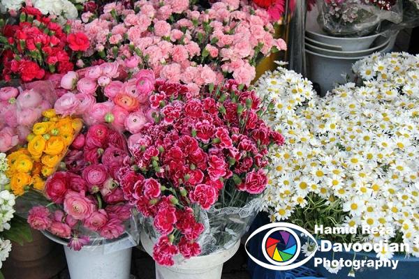 Flower Store in Taksim Square