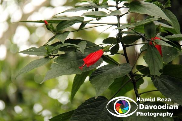 IMG_5475_WH.jpg
