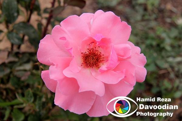 IMG_2111_WH.jpg