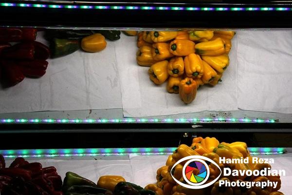 IMG_3254_WH.jpg