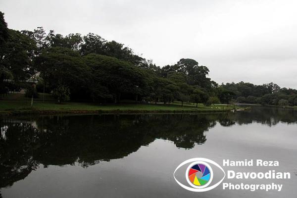 IMG_3205_WH.jpg